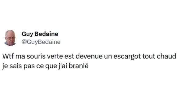 Image de couverture de l'article : Top 15 des tweets les plus drôles de @GuyBedaine