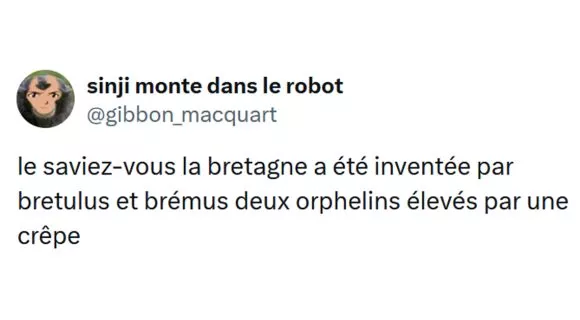 Image de couverture de l'article : Top 15 des tweets les plus drôles de @gibbon_macquart