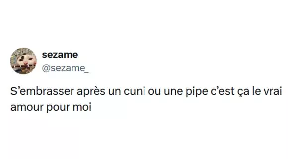 Image de couverture de l'article : 25 tweets drôles sur le sexe et l’amour : Comptwoir de Lola #550