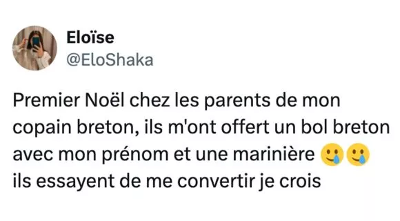 Image de couverture de l'article : Ils sont très (trop ?) fiers de leur région, vive les Bretons