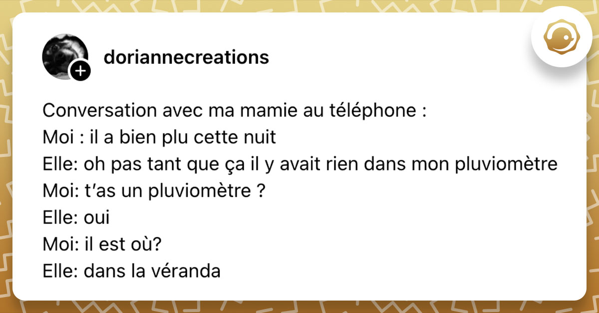 Post de @doriannecreations : "Conversation avec ma mamie au téléphone : Moi : il a bien plu cette nuit Elle: oh pas tant que ça il y avait rien dans mon pluviomètre Moi: t’as un pluviomètre ? Elle: oui Moi: il est où? Elle: dans la véranda"