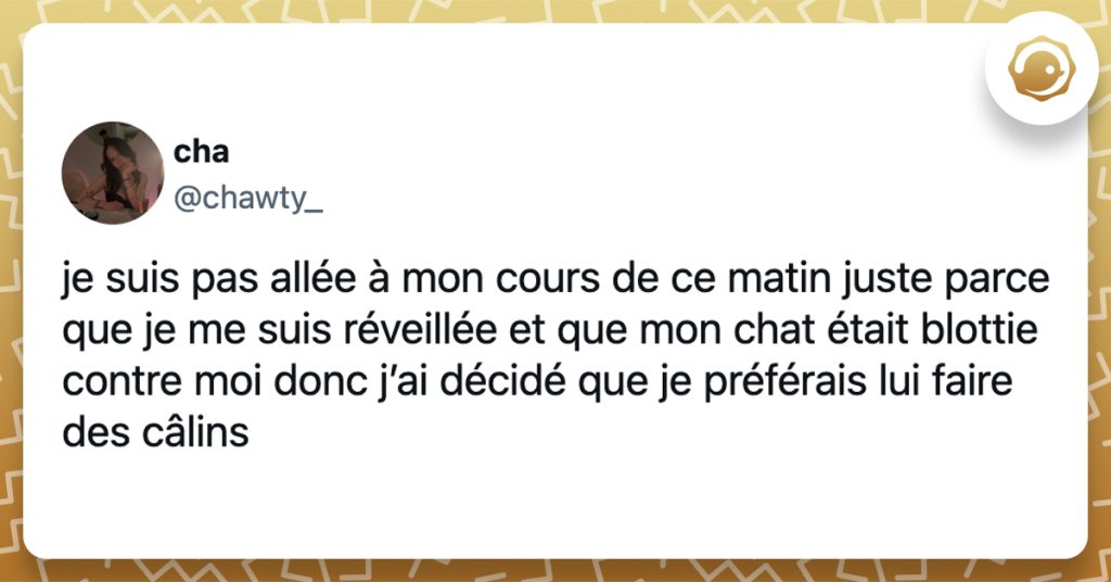 @chawty_ je suis pas allée à mon cours de ce matin juste parce que je me suis réveillée et que mon chat était blottie contre moi donc j’ai décidé que je préférais lui faire des câlins