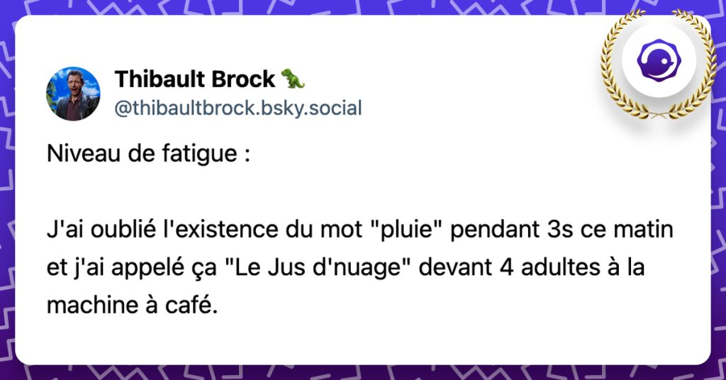 @thibaultbrock.bsky.social‬ Niveau de fatigue : J'ai oublié l'existence du mot "pluie" pendant 3s ce matin et j'ai appelé ça "Le Jus d'nuage" devant 4 adultes à la machine à café.