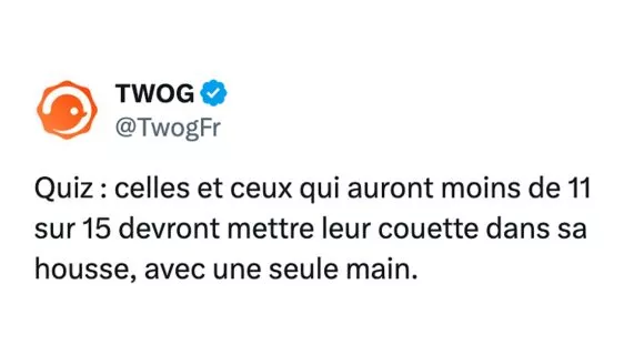 Image de couverture de l'article : Quiz : 15 questions de culture générale #419