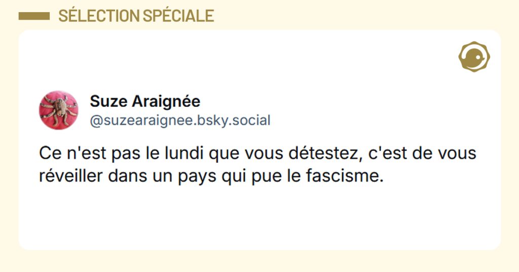 Post liseré de jaune de @suzearaignee.bsky.social‬ disant "Ce n'est pas le lundi que vous détestez, c'est de vous réveiller dans un pays qui pue le fascisme."