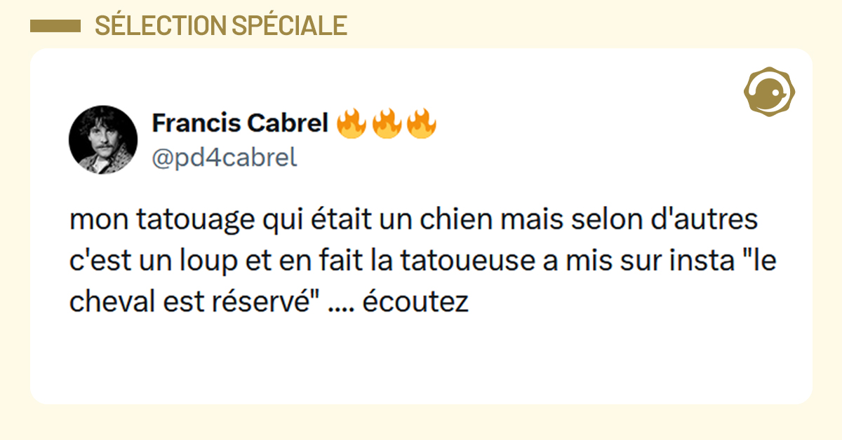 Post liseré de jaune de @pd4cabrel disant "mon tatouage qui était un chien mais selon d'autres c'est un loup et en fait la tatoueuse a mis sur insta "le cheval est réservé" .... écoutez"