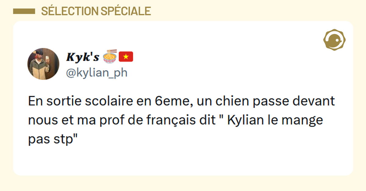 Post liseré de jaune de @kylian_ph disant "En sortie scolaire en 6eme, un chien passe devant nous et ma prof de français dit " Kylian le mange pas stp""