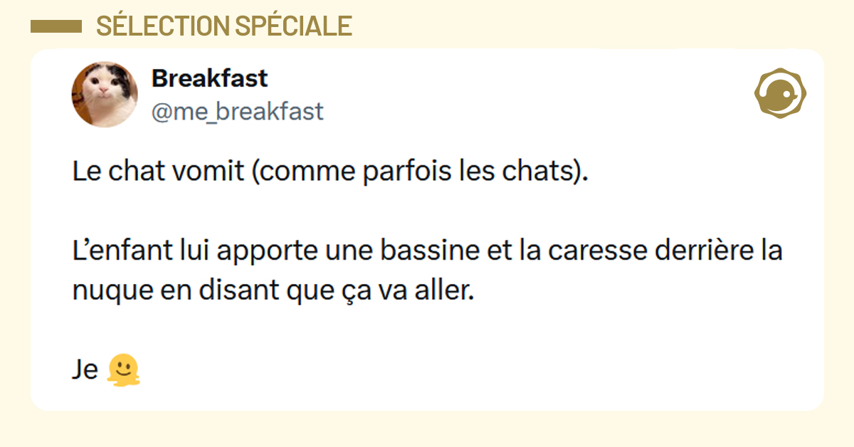 Post liseré de jaune de @me_breakfast disant "Le chat vomit (comme parfois les chats). L’enfant lui apporte une bassine et la caresse derrière la nuque en disant que ça va aller. Je 🫠"