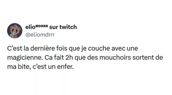 Image de couverture de l'article : 25 tweets drôles sur le sexe et l’amour : Comptwoir de Lola #553