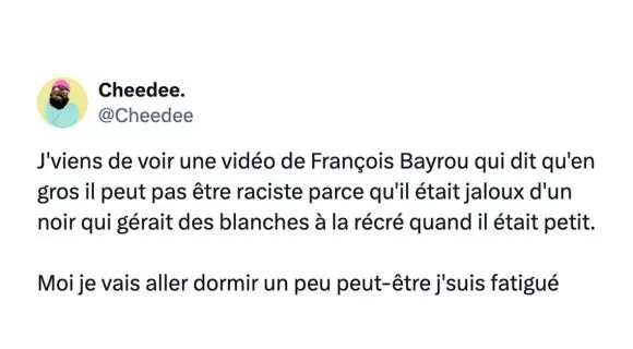 Image de couverture de l'article : François Bayrou ou le racisme décomplexé à l’Assemblée