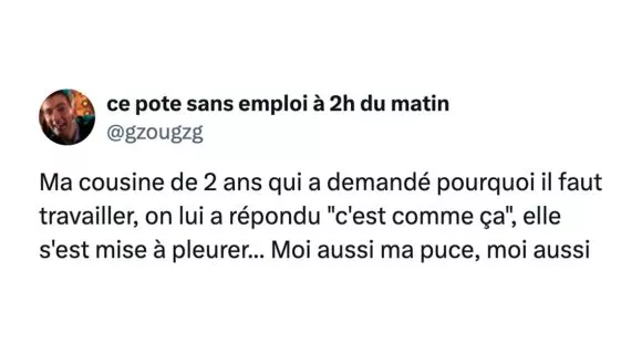 Image de couverture de l'article : Pas vraiment des frères, pas vraiment des potes : ce sont les cousins !