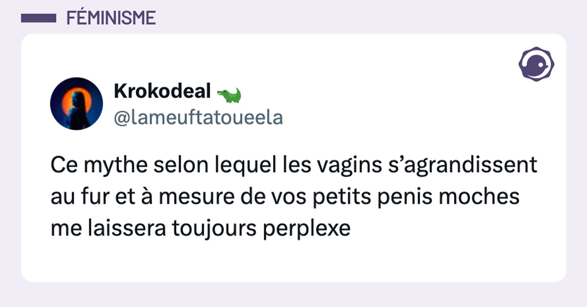 Tweet de @lameuftatoueela : "Ce mythe selon lequel les vagins s’agrandissent au fur et à mesure de vos petits penis moches me laissera toujours perplexe"