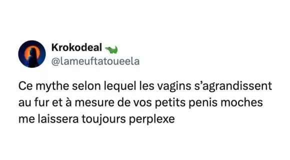 Image de couverture de l'article : La légende préférée des incels : le vagin qui s’élargit