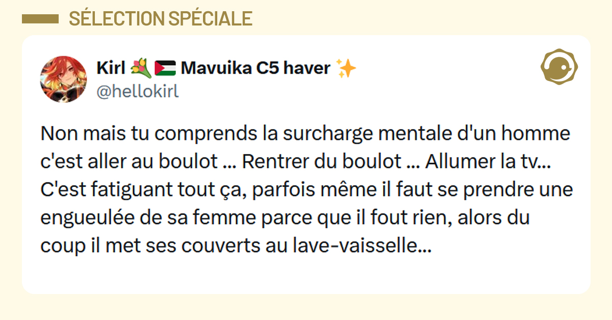 Post liseré de jaune de @hellokirl disant "Non mais tu comprends la surcharge mentale d'un homme c'est aller au boulot ... Rentrer du boulot ... Allumer la tv... C'est fatiguant tout ça, parfois même il faut se prendre une engueulée de sa femme parce que il fout rien, alors du coup il met ses couverts au lave-vaisselle..."