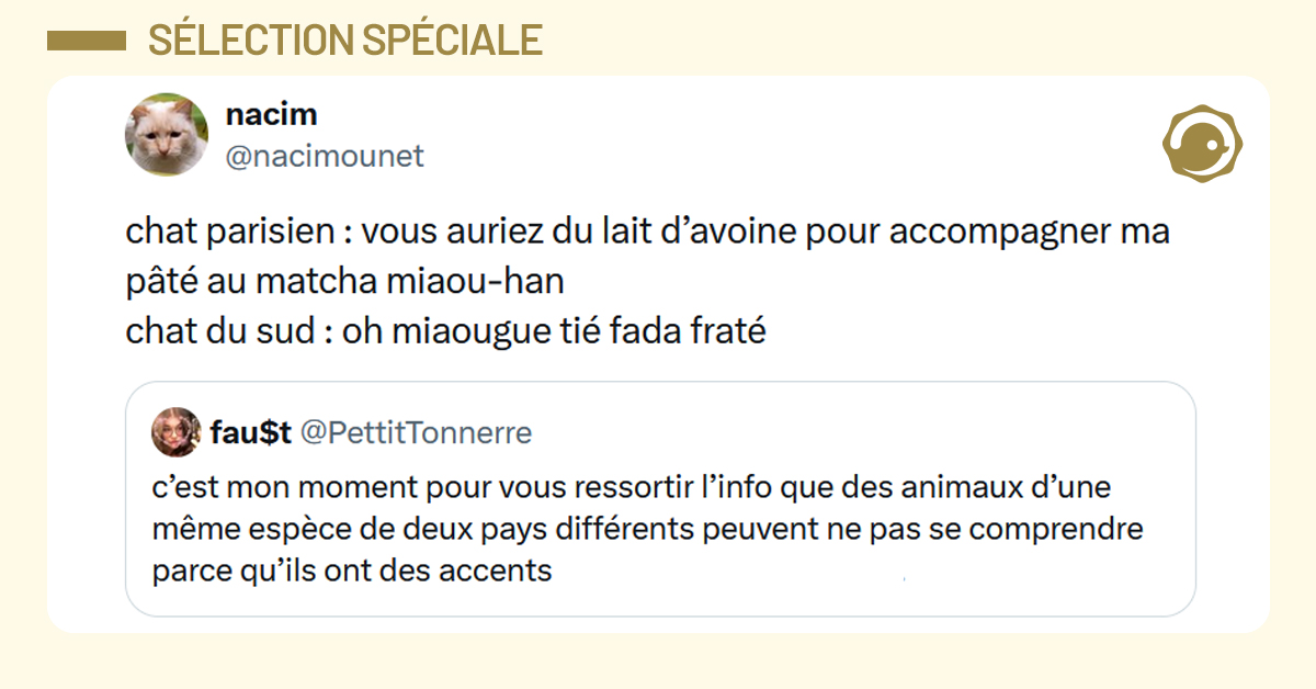 Post liseré de jaune de @PettitTonnerre disant "c’est mon moment pour vous ressortir l’info que des animaux d’une même espèce de deux pays différents peuvent ne pas se comprendre parce qu’ils ont des accents". Post de @nacimounet répondant "chat parisien : vous auriez du lait d’avoine pour accompagner ma pâté au matcha miaou-han chat du sud : oh miaougue tié fada fraté"