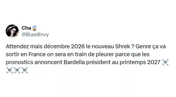 Image de couverture de l'article : Les fans de pop culture encore une fois insupportables avec leur nostalgie : l’affaire Shrek 5