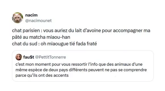 Image de couverture de l'article : Vos 18 meilleurs posts sur les chats (et peut-être les chiens on sait pas) !