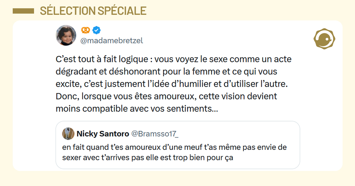 Post liseré de jaune de @madamebretzel disant "C’est tout à fait logique : vous voyez le sexe comme un acte dégradant et déshonorant pour la femme et ce qui vous excite, c’est justement l’idée d’humilier et d’utiliser l’autre. Donc, lorsque vous êtes amoureux, cette vision devient moins compatible avec vos sentiments…"