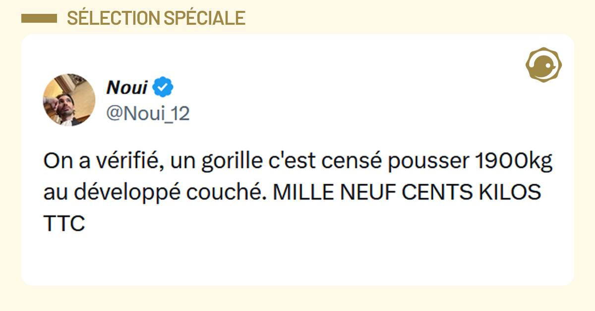 Post liser&eacute; de jaune de @Noui_12 disant "On a v&eacute;rifi&eacute;, un gorille c'est cens&eacute; pousser 1900kg au d&eacute;velopp&eacute; couch&eacute;. MILLE NEUF CENTS KILOS TTC"