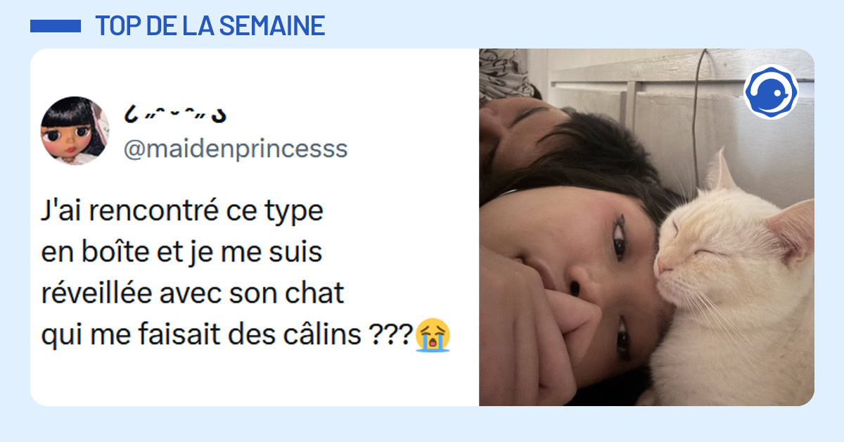 Post liseré de bleu de @maidenprincesss disant "J'ai rencontré ce type en boîte et je me suis réveillée avec son chat qui me faisait des câlins ???" Sous une photo d'une femme dormant avec un homme et un chat la câlinant
