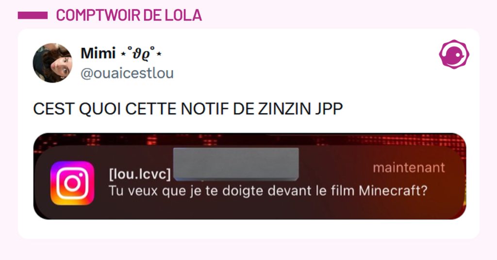 Post liseré de rose de @ouaicestlou disant "CEST QUOI CETTE NOTIF DE ZINZIN JPP". La notification : "Tu veux que je te doigte devant le film Minecraft ?"