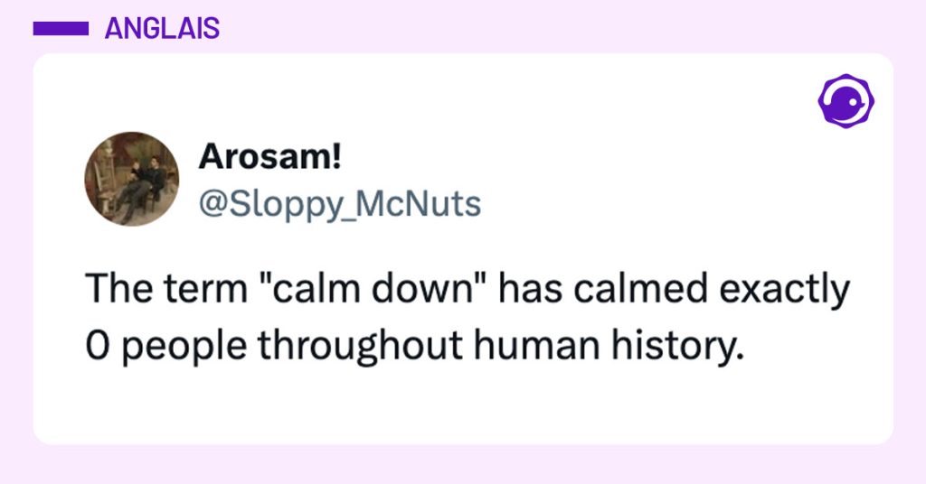 Tweet de @Sloppy_McNuts : "The term "calm down" has calmed exactly 0 people throughout human history."