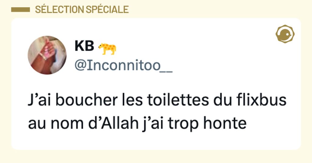 Tweet de @Inconnito__ : "J&rsquo;ai boucher les toilettes du flixbus au nom d&rsquo;Allah j&rsquo;ai trop honte"