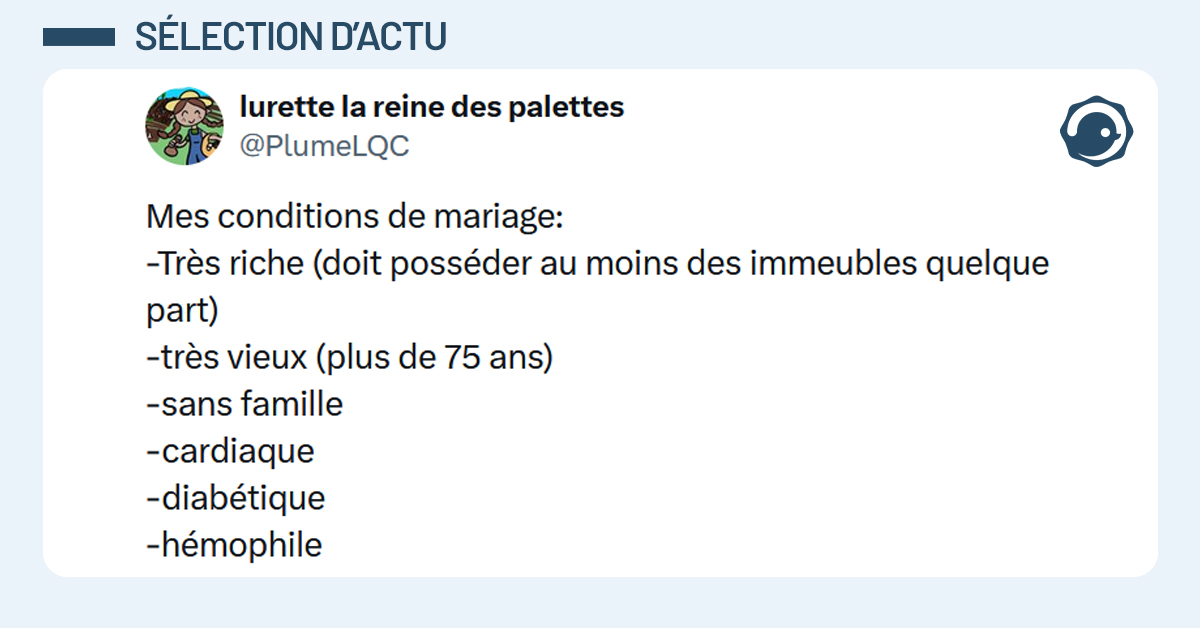 Post liseré de bleu de @PlumeLQC disant "Mes conditions de mariage: -Très riche (doit posséder au moins des immeubles quelque part) -très vieux (plus de 75 ans) -sans famille -cardiaque -diabétique -hémophile"