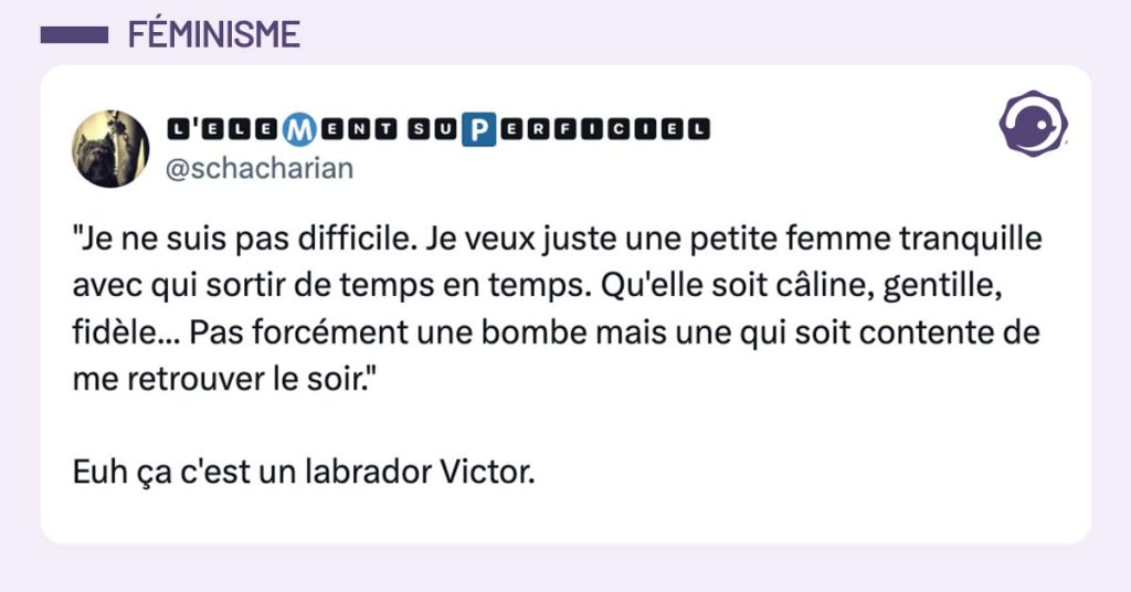 post de @schacharian "Je ne suis pas difficile. Je veux juste une petite femme tranquille avec qui sortir de temps en temps. Qu'elle soit câline, gentille, fidèle... Pas forcément une bombe mais une qui soit contente de me retrouver le soir." Euh ça c'est un labrador Victor.