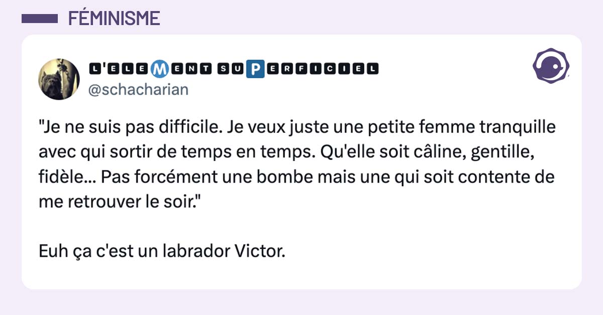 post de @schacharian "Je ne suis pas difficile. Je veux juste une petite femme tranquille avec qui sortir de temps en temps. Qu'elle soit câline, gentille, fidèle... Pas forcément une bombe mais une qui soit contente de me retrouver le soir." Euh ça c'est un labrador Victor.
