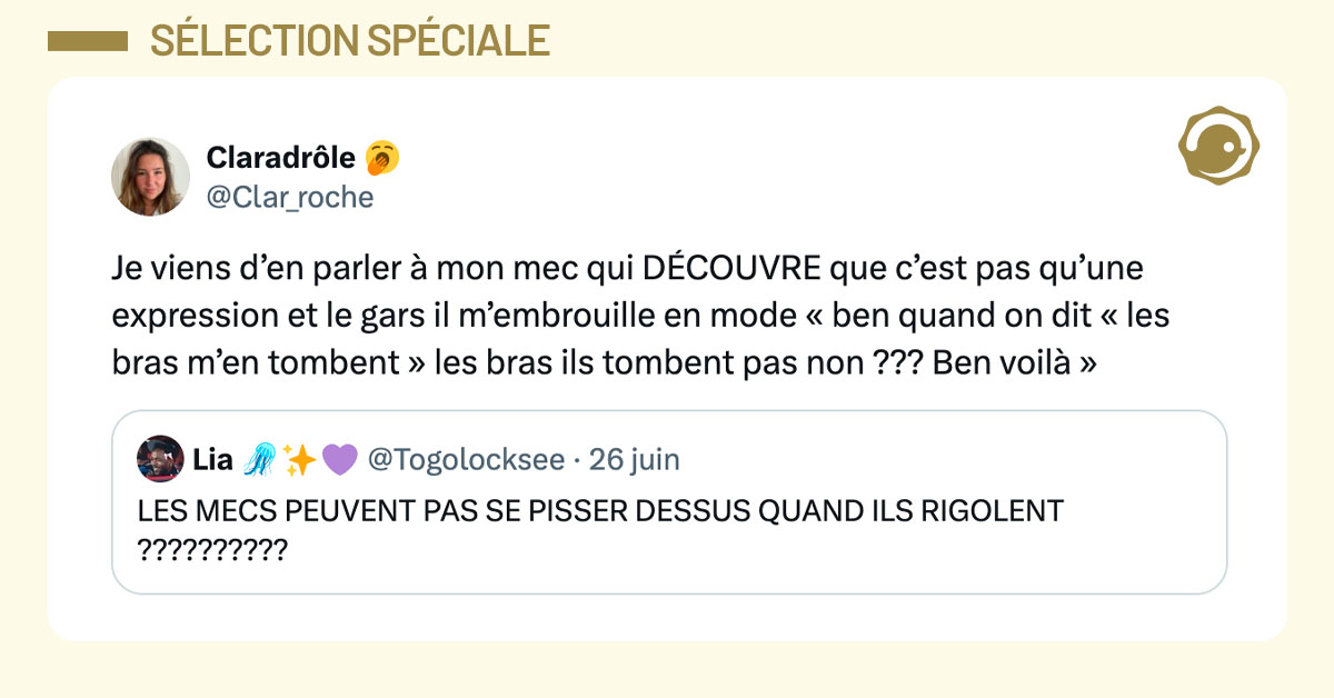 Tweet de @Clar_roche : "Je viens d&rsquo;en parler &agrave; mon mec qui D&Eacute;COUVRE que c&rsquo;est pas qu&rsquo;une expression et le gars il m&rsquo;embrouille en mode &laquo; ben quand on dit &laquo; les bras m&rsquo;en tombent &raquo; les bras ils tombent pas non ??? Ben voil&agrave; &raquo;"