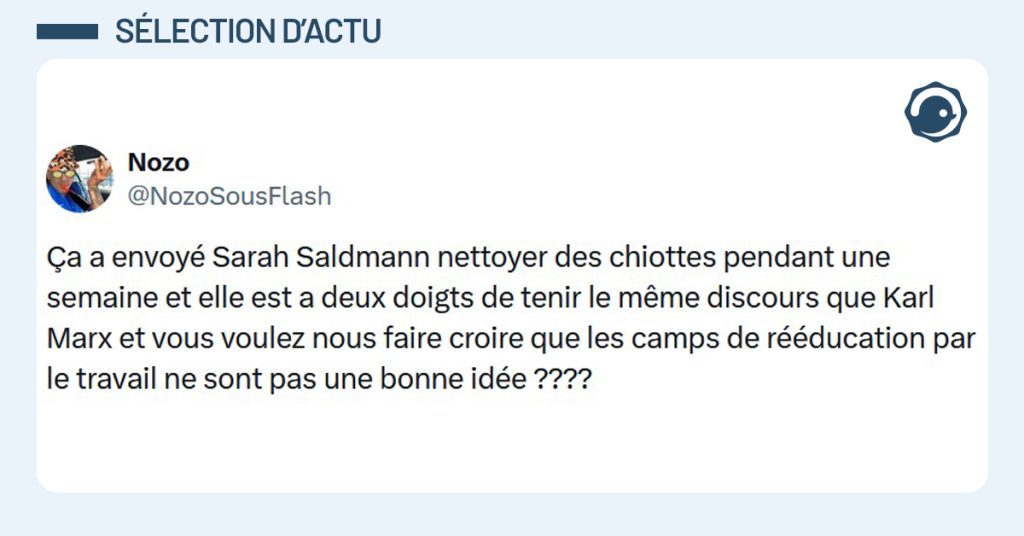 Post liser&eacute; de bleu de @NozoSousFlash disant "&Ccedil;a a envoy&eacute; Sarah Saldmann nettoyer des chiottes pendant une semaine et elle est a deux doigts de tenir le m&ecirc;me discours que Karl Marx et vous voulez nous faire croire que les camps de r&eacute;&eacute;ducation par le travail ne sont pas une bonne id&eacute;e ????"