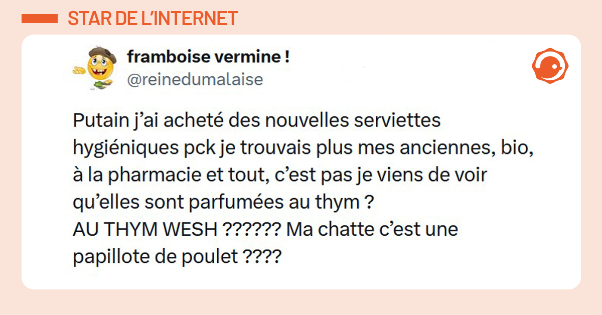 Post liseré de rose de @reinedumalaise disant "Putain j’ai acheté des nouvelles serviettes hygiéniques pck je trouvais plus mes anciennes, bio, à la pharmacie et tout, c’est pas je viens de voir qu’elles sont parfumées au thym ? AU THYM WESH ?????? Ma chatte c’est une papillote de poulet ????"