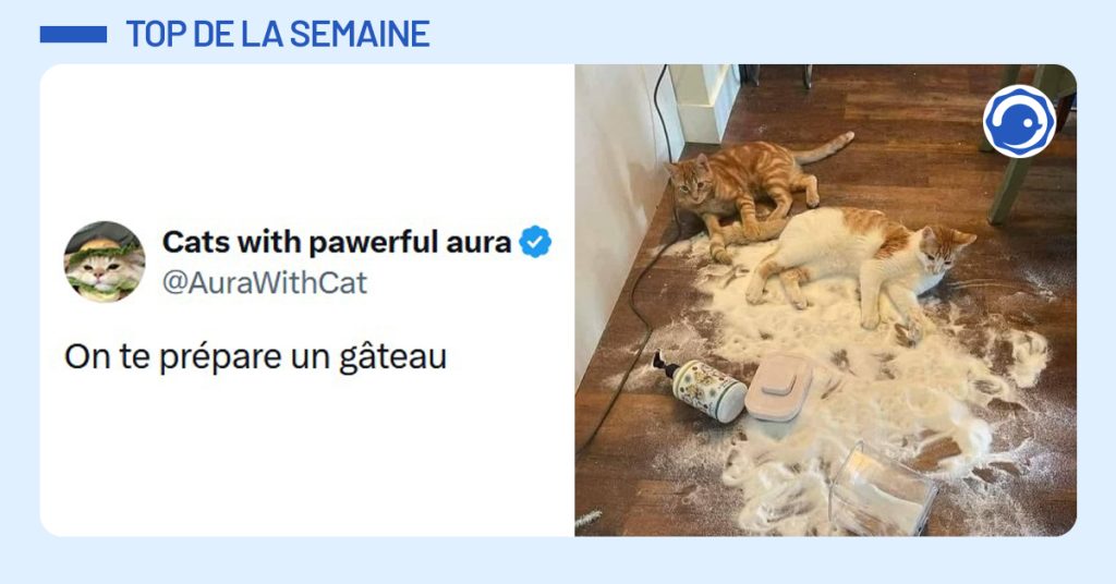 Vignette bleue bonnes nouvelles semaine