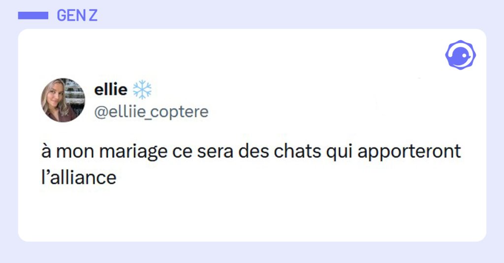 Post liseré de bleu de @elliie_coptere disant "à mon mariage ce sera des chats qui apporteront l’alliance"