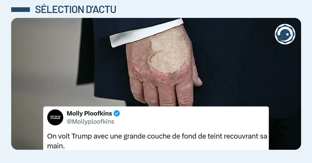 Post liseré de bleu de @Mollyploofkins disant "On voit Trump avec une grande couche de fond de teint recouvrant sa main."