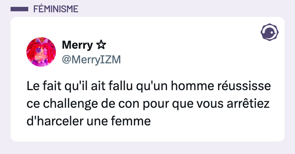 Tweet de @MerryIZM : "Le fait qu'il ait fallu qu'un homme réussisse ce challenge de con pour que vous arrêtiez d'harceler une femme"