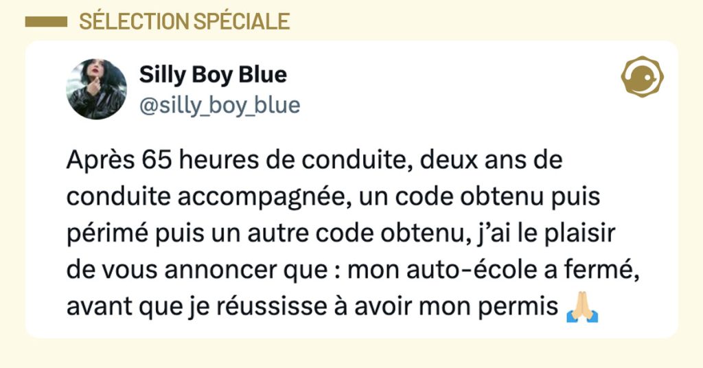 Tweet de @Silly_boy_blue : "Apr&egrave;s 65 heures de conduite, deux ans de conduite accompagn&eacute;e, un code obtenu puis p&eacute;rim&eacute; puis un autre code obtenu, j&rsquo;ai le plaisir de vous annoncer que : mon auto-&eacute;cole a ferm&eacute;, avant que je r&eacute;ussisse &agrave; avoir mon permis 🙏🏼"