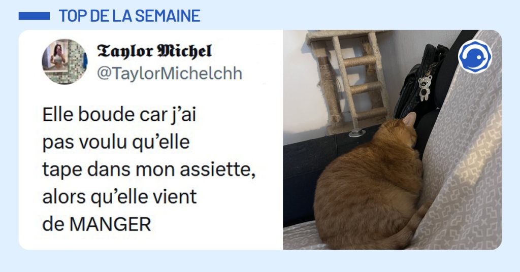 Vignette bleue happy hour