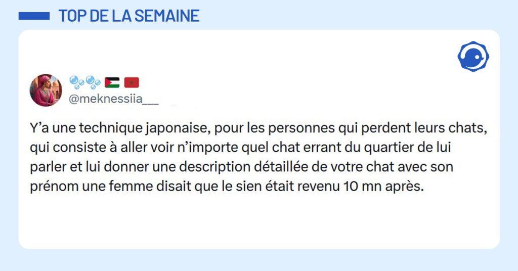Post bleu de @meknessiia___ disant "Y’a une technique japonaise, pour les personnes qui perdent leurs chats, qui consiste à aller voir n’importe quel chat errant du quartier de lui parler et lui donner une description détaillée de votre chat avec son prénom une femme disait que le sien était revenu 10 mn après."