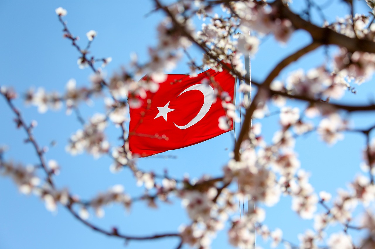 Drapeau de la Turquie