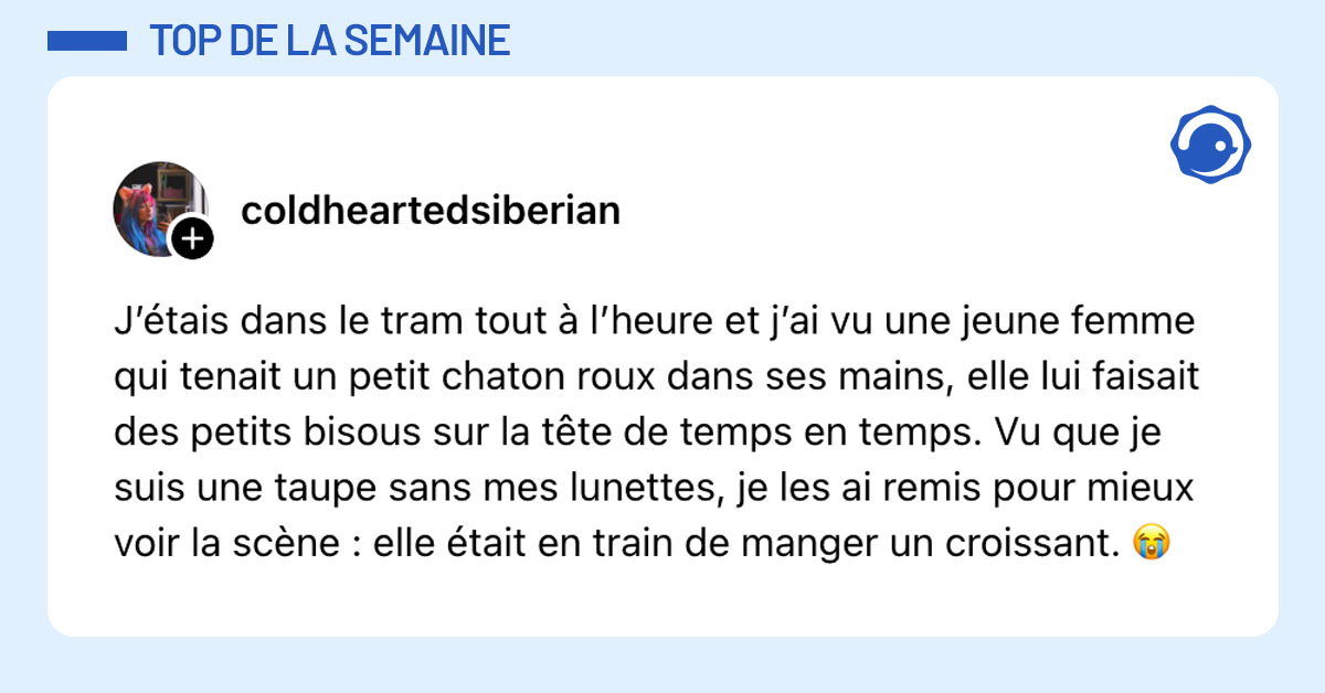 Post de @coldheartedsiberian : "J’étais dans le tram tout à l’heure et j’ai vu une jeune femme qui tenait un petit chaton roux dans ses mains, elle lui faisait des petits bisous sur la tête de temps en temps. Vu que je suis une taupe sans mes lunettes, je les ai remis pour mieux voir la scène : elle était en train de manger un croissant. 😭"