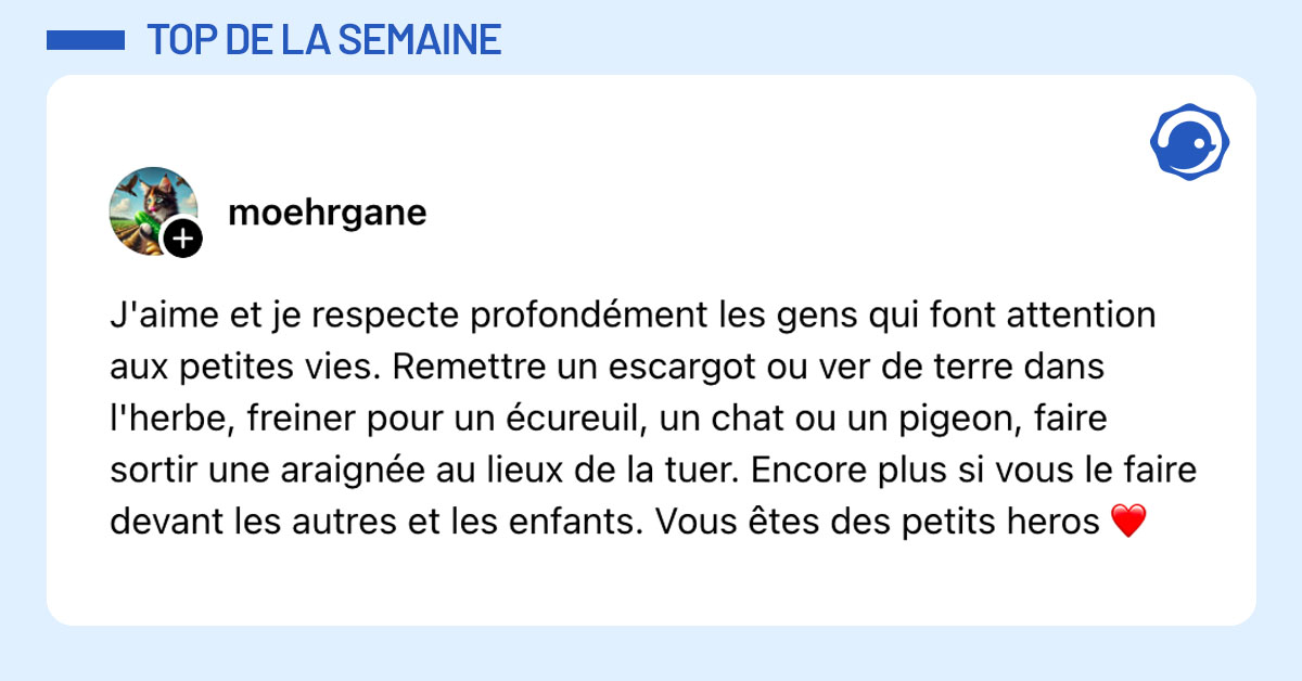 Tweet de @moehrgane : "J'aime et je respecte profondément les gens qui font attention aux petites vies. Remettre un escargot ou ver de terre dans l'herbe, freiner pour un écureuil, un chat ou un pigeon, faire sortir une araignée au lieux de la tuer. Encore plus si vous le faire devant les autres et les enfants. Vous êtes des petits heros ❤️"