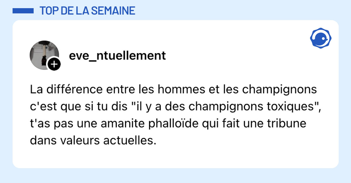 Post de @eve_ntuellement : "La différence entre les hommes et les champignons c'est que si tu dis "il y a des champignons toxiques", t'as pas une amanite phalloïde qui fait une tribune dans valeurs actuelles."