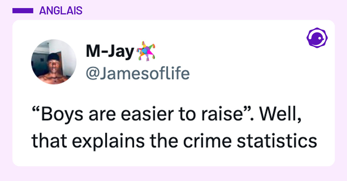 Tweet de @Jamesoflife : "“Boys are easier to raise”. Well, that explains the crime statistics"