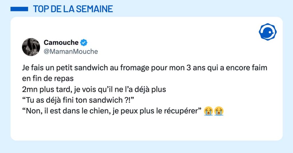 post de @MamanMouche Je fais un petit sandwich au fromage pour mon 3 ans qui a encore faim en fin de repas 2mn plus tard, je vois qu’il ne l’a déjà plus “Tu as déjà fini ton sandwich ?!” “Non, il est dans le chien, je peux plus le récupérer” 😭😭