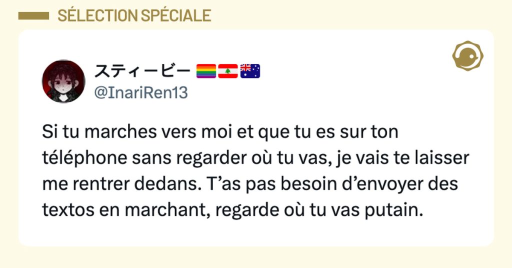 Tweet de @InariRen13 : « Si tu marches vers moi et que tu es sur ton téléphone sans regarder où tu vas, je vais te laisser me rentrer dedans. T’as pas besoin d’envoyer des textos en marchant, regarde où tu vas putain. »