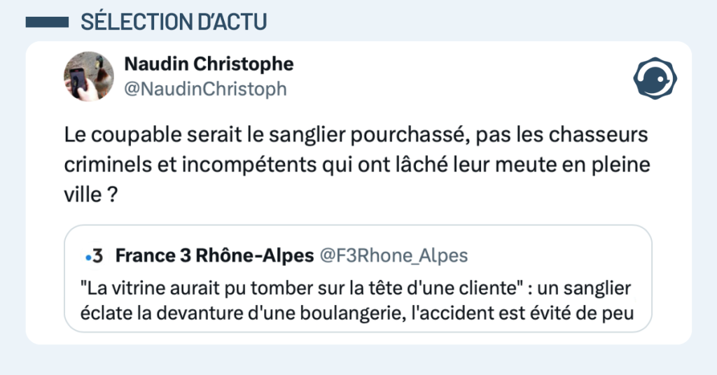 Post vignette de @NaudinChristoph disant "Le coupable serait le sanglier pourchassé, pas les chasseurs criminels et incompétents qui ont lâché leur meute en pleine ville ?"