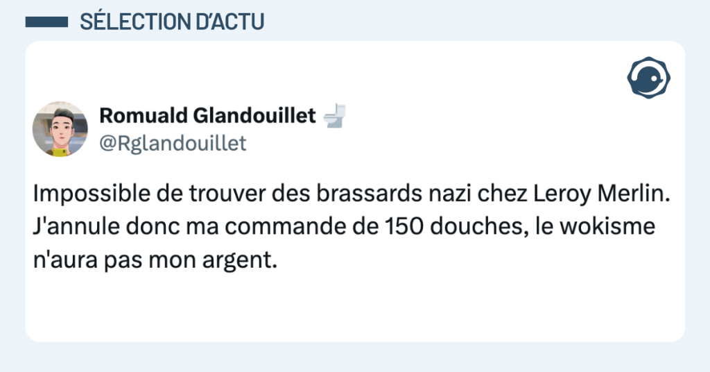 Post vignette de @Rglandouillet disant "Impossible de trouver des brassards nazi chez Leroy Merlin. J'annule donc ma commande de 150 douches, le wokisme n'aura pas mon argent."