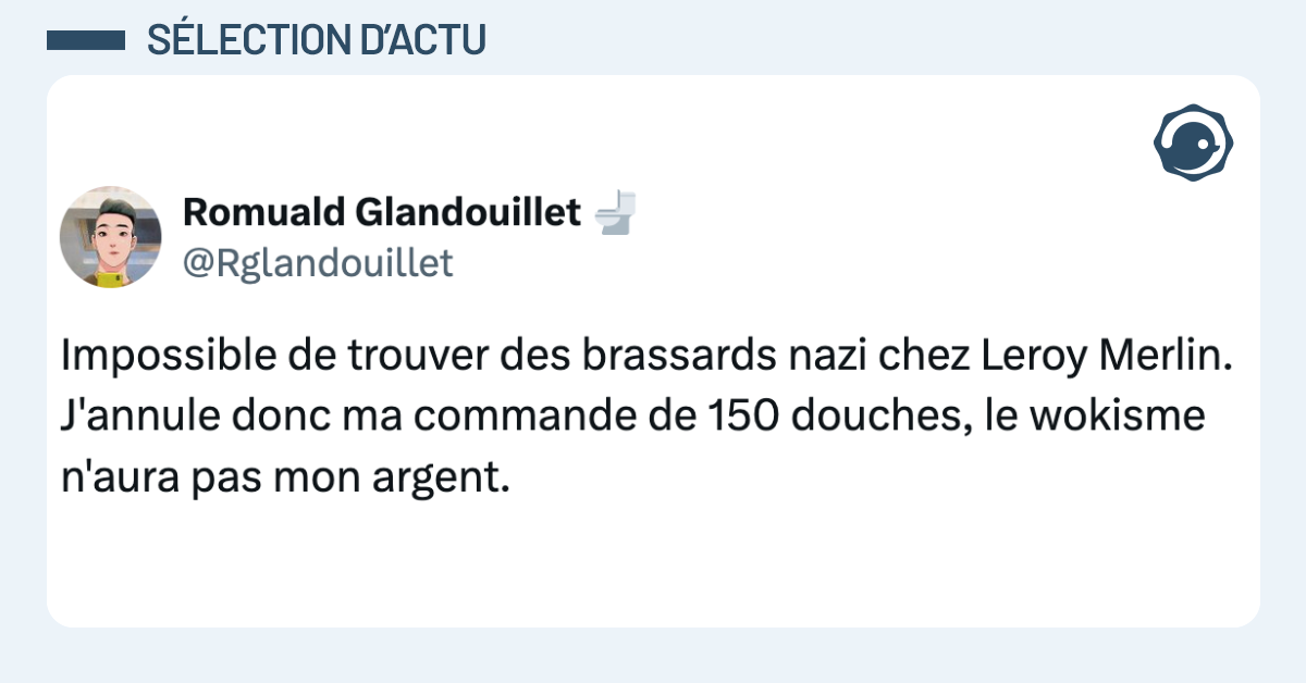 Post vignette de @Rglandouillet disant "Impossible de trouver des brassards nazi chez Leroy Merlin. J'annule donc ma commande de 150 douches, le wokisme n'aura pas mon argent."